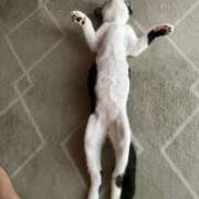 ヒメ日記 2025/08/05 08:49 投稿 東条(とうじょう) 熟女の風俗最終章 大宮店