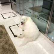 ヒメ日記 2025/08/30 00:19 投稿 東条(とうじょう) 熟女の風俗最終章 大宮店