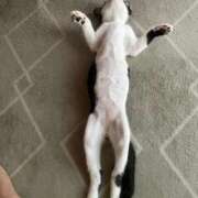 ヒメ日記 2025/09/13 23:41 投稿 東条(とうじょう) 熟女の風俗最終章 大宮店