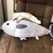 ヒメ日記 2025/11/06 12:31 投稿 東条(とうじょう) 熟女の風俗最終章 大宮店