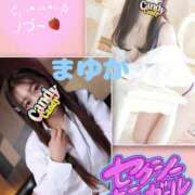 ヒメ日記 2025/06/16 12:05 投稿 ゆい Candy×Candy （キャンディ×キャンディ）