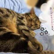 ヒメ日記 2025/09/03 08:49 投稿 ゆい Candy×Candy （キャンディ×キャンディ）