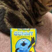 ヒメ日記 2025/11/23 10:31 投稿 ゆい Candy×Candy （キャンディ×キャンディ）