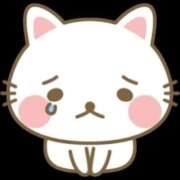 ヒメ日記 2025/03/09 09:12 投稿 多部音々(たべねおん) 五十路マダムエクスプレス厚木店(カサブランカグループ)