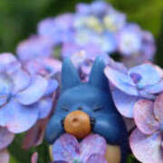 ヒメ日記 2025/06/08 09:18 投稿 多部音々(たべねおん) 五十路マダムエクスプレス厚木店(カサブランカグループ)