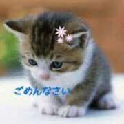 ヒメ日記 2025/09/14 07:28 投稿 多部音々(たべねおん) 五十路マダムエクスプレス厚木店(カサブランカグループ)