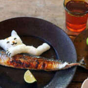 ヒメ日記 2025/09/28 09:12 投稿 多部音々(たべねおん) 五十路マダムエクスプレス厚木店(カサブランカグループ)