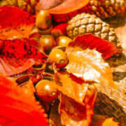 ヒメ日記 2025/11/09 14:26 投稿 多部音々(たべねおん) 五十路マダムエクスプレス厚木店(カサブランカグループ)