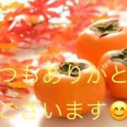 多部音々(たべねおん) 11/16お礼 五十路マダムエクスプレス厚木店(カサブランカグループ)