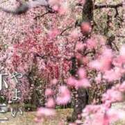 ヒメ日記 2026/03/01 09:44 投稿 多部音々(たべねおん) 五十路マダムエクスプレス厚木店(カサブランカグループ)