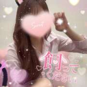 ヒメ日記 2025/05/01 11:57 投稿 はづき ビデオdeはんど 町田校