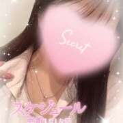 ヒメ日記 2026/02/13 15:35 投稿 はづき ビデオdeはんど 町田校