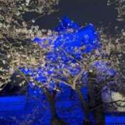 ヒメ日記 2025/04/23 02:07 投稿 仲野あゆみ グランエステ東京 品川（シンデレラグループ）