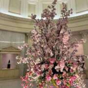 ヒメ日記 2025/04/26 04:35 投稿 仲野あゆみ グランエステ東京 品川（シンデレラグループ）