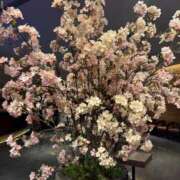 ヒメ日記 2025/04/27 04:00 投稿 仲野あゆみ グランエステ東京 品川（シンデレラグループ）