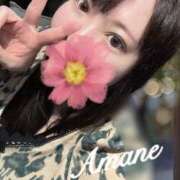 ヒメ日記 2025/04/11 07:30 投稿 あまね モアグループ川越人妻花壇