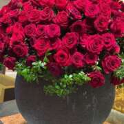 ヒメ日記 2024/12/24 23:43 投稿 華宮まこ キュア＆マジック