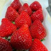 ヒメ日記 2025/02/24 07:15 投稿 華宮まこ キュア＆マジック