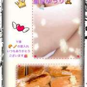 ヒメ日記 2025/02/24 11:03 投稿 星奈ゆうり 人妻家 古河・小山店