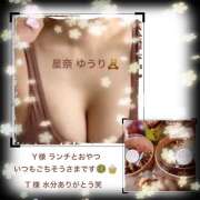 ヒメ日記 2025/04/08 14:22 投稿 星奈ゆうり 人妻家 古河・小山店