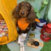 ヒメ日記 2025/05/03 20:03 投稿 福本えま お色気物語（横浜ハレ系）