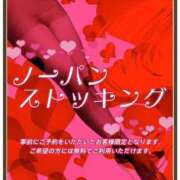 ヒメ日記 2026/07/24 04:29 投稿 福本えま お色気物語（横浜ハレ系）