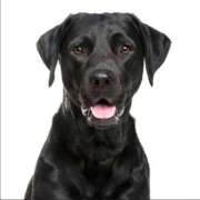 ヒメ日記 2025/12/15 08:29 投稿 みつる サンキュー福岡店