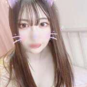 ヒメ日記 2025/04/09 17:13 投稿 稲森　わかな 現役ナースが精液採取に伺います 梅田店