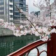 まゆみ 😯 ラッシュアワー