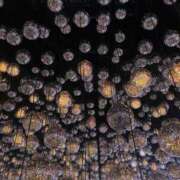 ヒメ日記 2025/03/17 04:35 投稿 中西 鶯谷人妻城