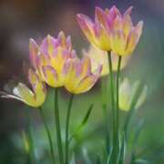 ヒメ日記 2025/09/22 09:41 投稿 中西 鶯谷人妻城