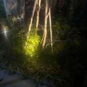 ヒメ日記 2025/01/29 01:40 投稿 鈴花 天使のゆびさき 船橋店(カサブランカグループ)