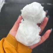 ヒメ日記 2025/02/18 01:01 投稿 鈴花 天使のゆびさき 船橋店(カサブランカグループ)