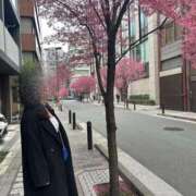 ヒメ日記 2025/03/17 20:18 投稿 鈴花 天使のゆびさき 船橋店(カサブランカグループ)