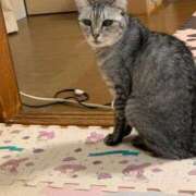 ヒメ日記 2024/12/12 22:36 投稿 なつ 人妻美人館