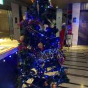 ヒメ日記 2024/12/19 16:06 投稿 なつ 人妻美人館