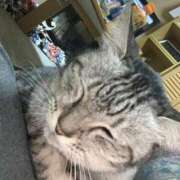 ヒメ日記 2024/12/20 08:59 投稿 なつ 人妻美人館