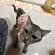 ヒメ日記 2025/03/10 01:21 投稿 なつ 人妻美人館