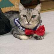 ヒメ日記 2025/03/13 16:39 投稿 なつ 人妻美人館