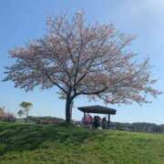 ヒメ日記 2025/03/21 07:19 投稿 なつ 人妻美人館