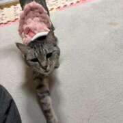 ヒメ日記 2025/03/22 11:33 投稿 なつ 人妻美人館