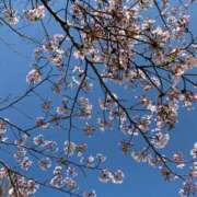 ヒメ日記 2025/03/29 09:51 投稿 なつ 人妻美人館