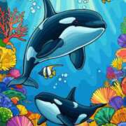 ヒメ日記 2025/03/29 22:53 投稿 なつ 人妻美人館