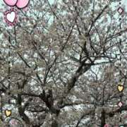 ヒメ日記 2025/04/05 20:21 投稿 なつ 人妻美人館