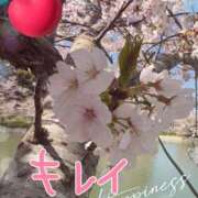 ヒメ日記 2025/04/06 15:35 投稿 なつ 人妻美人館