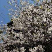 ヒメ日記 2025/04/07 12:33 投稿 なつ 人妻美人館