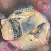 ヒメ日記 2025/04/22 21:27 投稿 なつ 人妻美人館