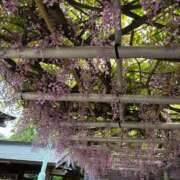 ヒメ日記 2025/04/27 20:47 投稿 なつ 人妻美人館