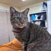 ヒメ日記 2025/05/05 20:43 投稿 なつ 人妻美人館