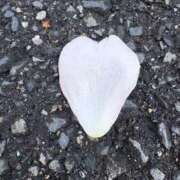 ヒメ日記 2025/05/06 13:27 投稿 なつ 人妻美人館